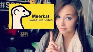 Meerkat