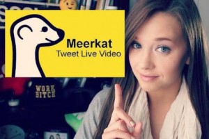 Meerkat